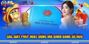 Các Giấy Phép Hoạt Động Mà QH88 Đang Sở Hữu